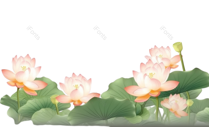 叶子图片,元素元素,清新PNG,荷花免抠素材